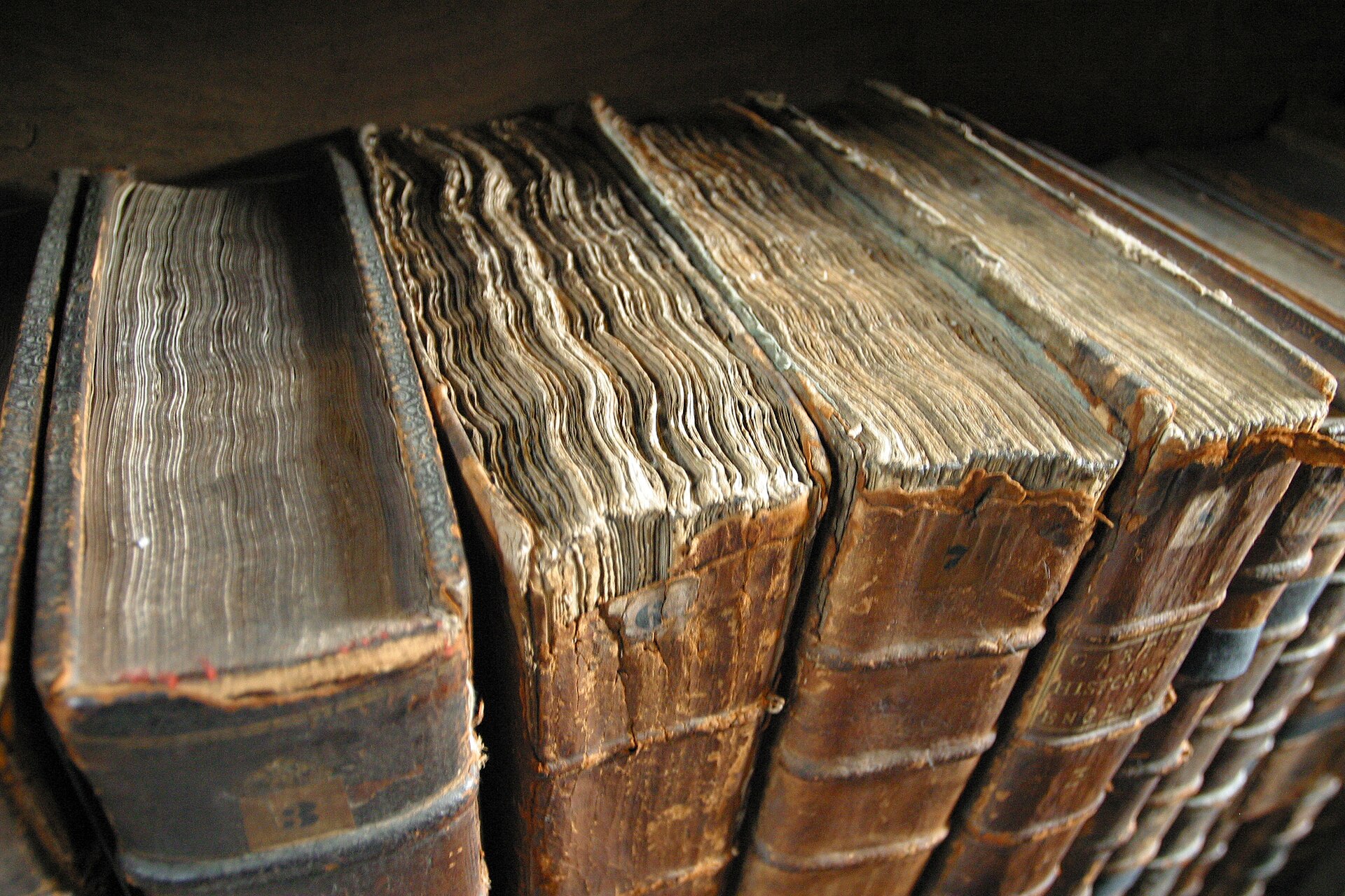 Rangée de vieux livres reliés, dos patinés, dans une bibliothèque.
